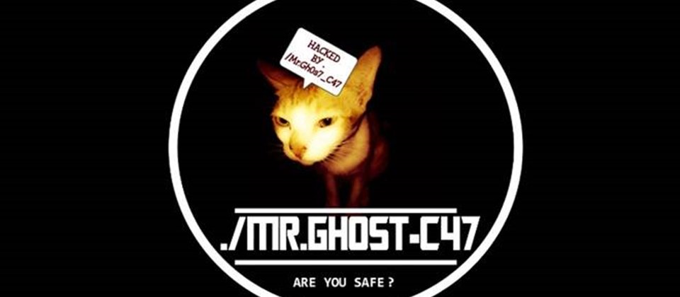 勒索軟體CryptoSpider只出現一隻貓咪,告知受害者被感染了,但沒有任何勒索資訊